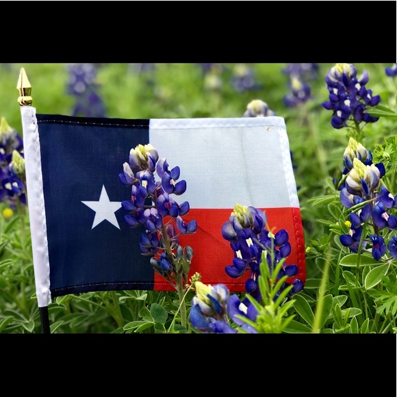 Meet your Posher, Phyllis - Picture 1 of 1